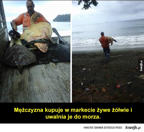 Mężczyzna kupuje w markecie żywe żółwie i uwalnia je do morza.