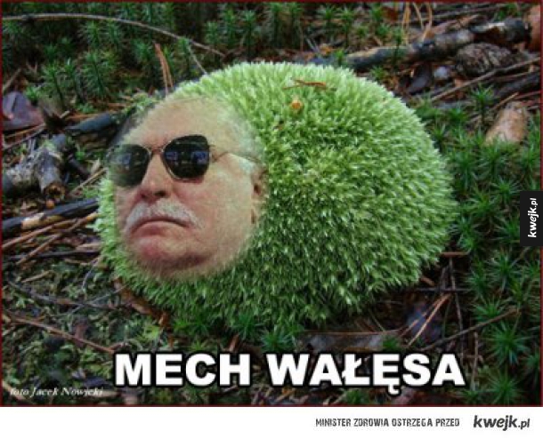 Mech Wałęsa