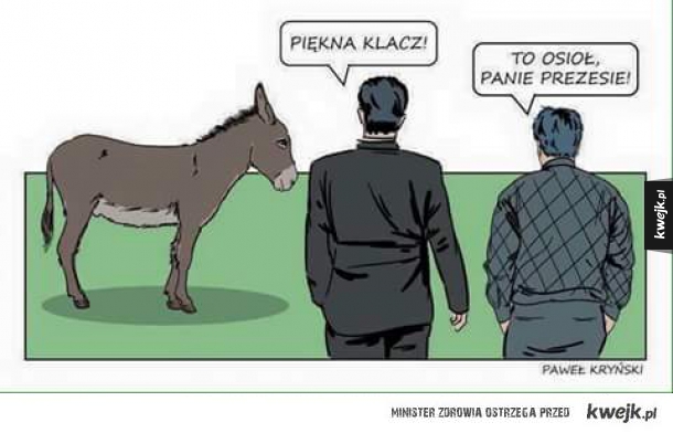 Grunt to fachowiec