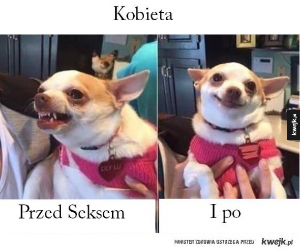 Dlatego nauczycielki ciągle są wściekłe