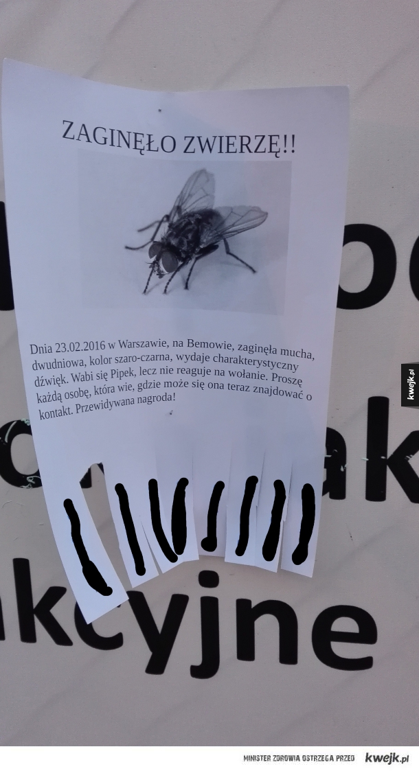 Pilnie potrzebna pomoc!