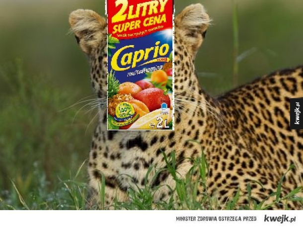 Leopardo DiCaprio
