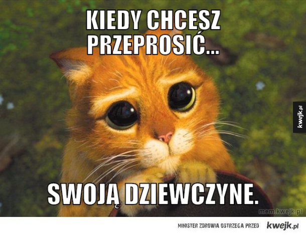 Kiedy chcesz przeprosić...