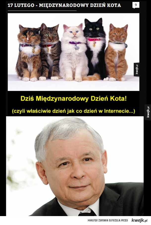 Dzień kota