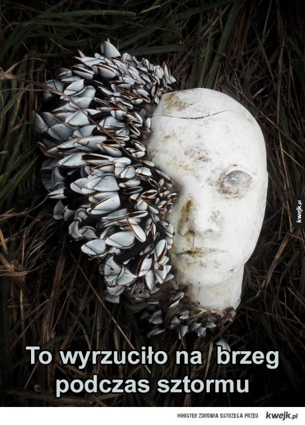 Podczas sztormu