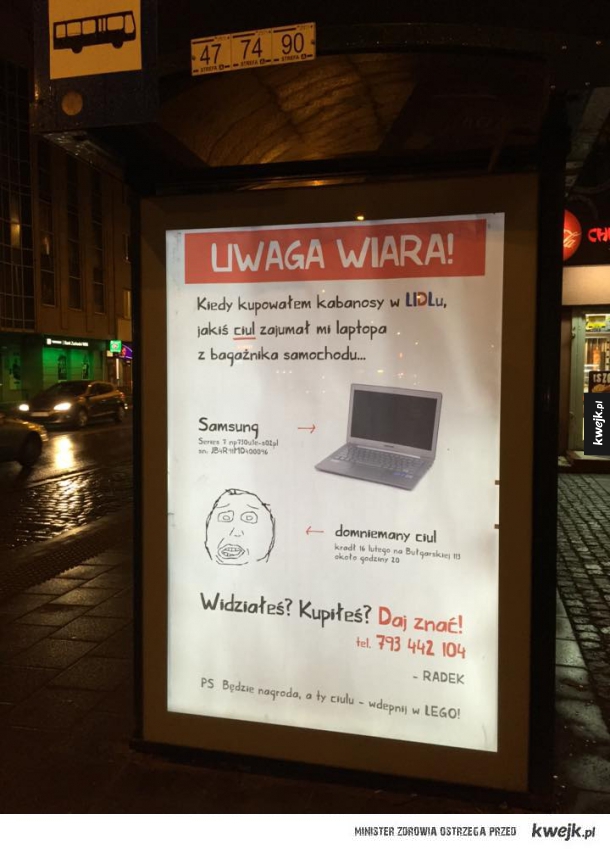 Poznań szuka ciula!