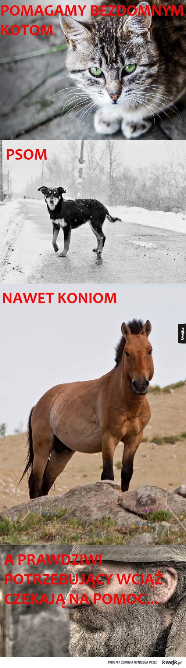 Pomoc