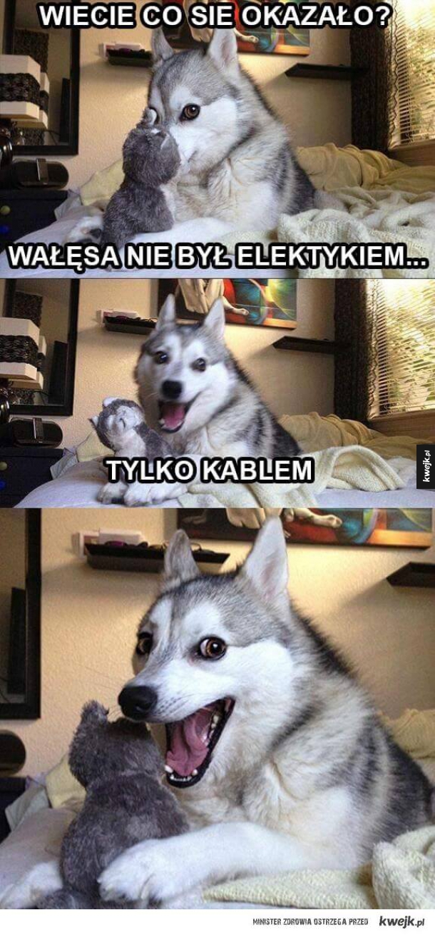 Elektryka prąd nie tyka