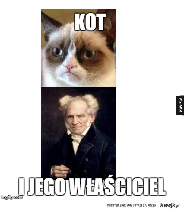 Kot ...