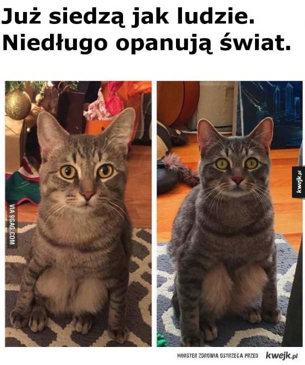 Przygotowują się