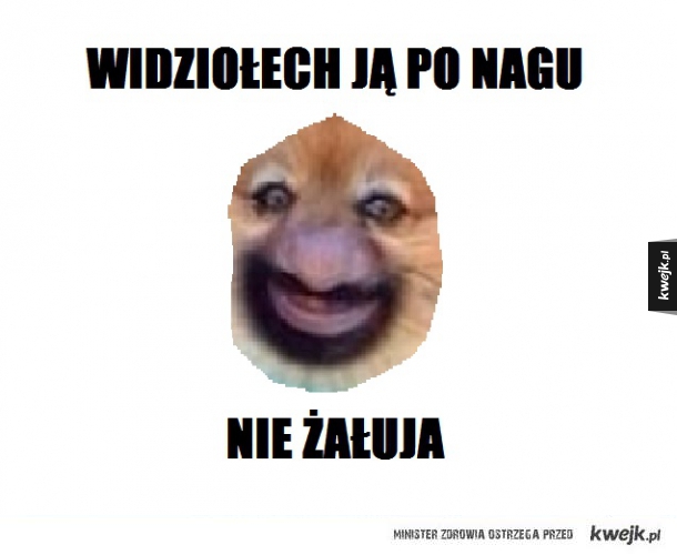 Nie żałuja