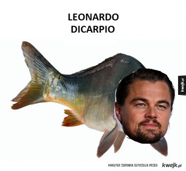 LEONARDO DICARPIO