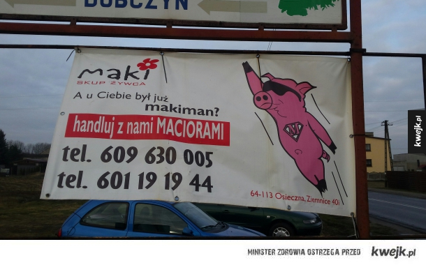 Mistrzowie marketingu.