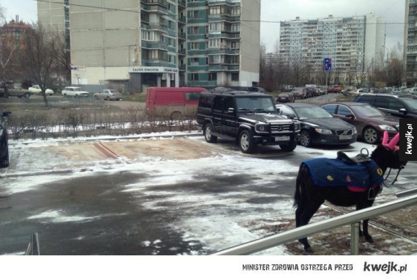 Nowy prezes stadniny w Janowie, rezygnuje z aut służbowych