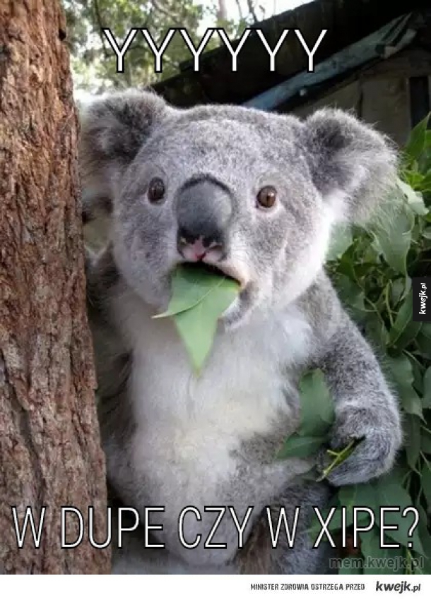 Yyyyyy