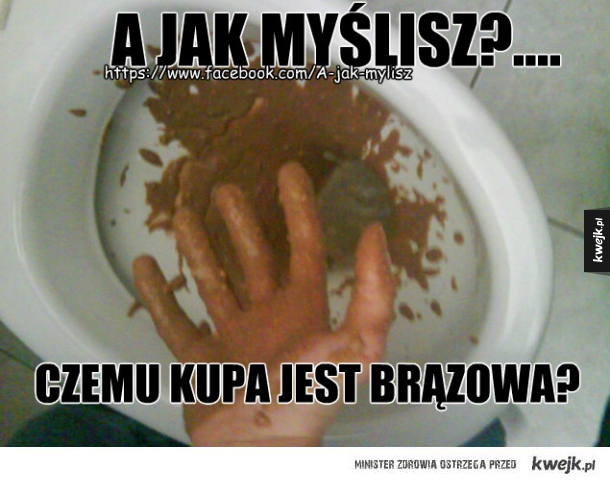 ELo świry  xd
