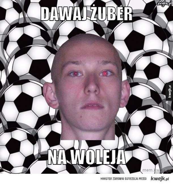 Dawaj żuber