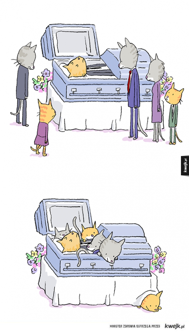 Koci pogrzeb