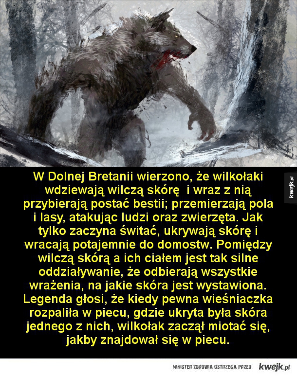 Wilkołaki, bestie z koszmarów