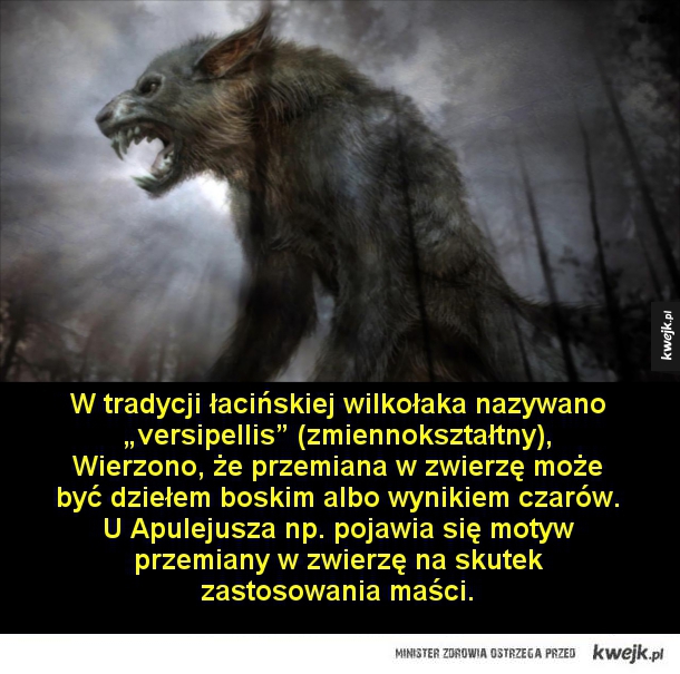 Wilkołaki, bestie z koszmarów