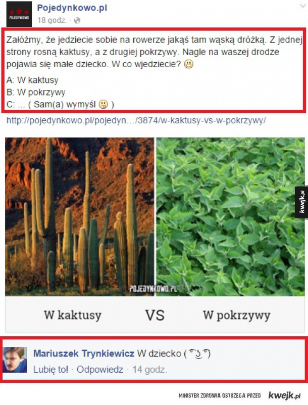 Trynkiewicz