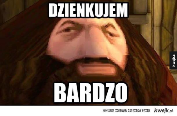 Dzienkuje pan Haggord