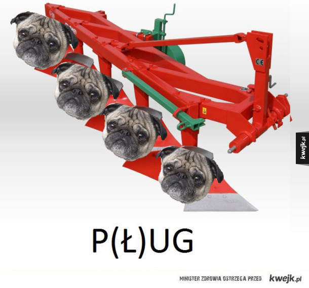 P(Ł)UG LIFE