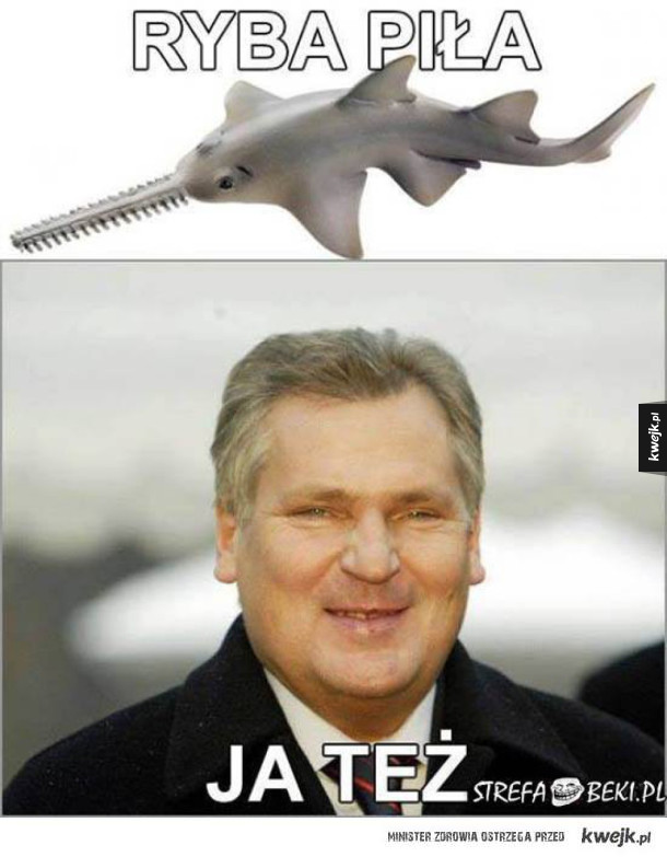 KWACHU NA DZIŚ