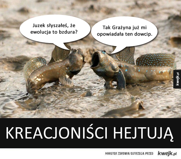 DOWCIP O EWOLUCJI.