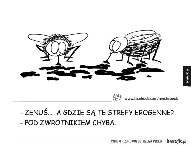 Strefy erogenne