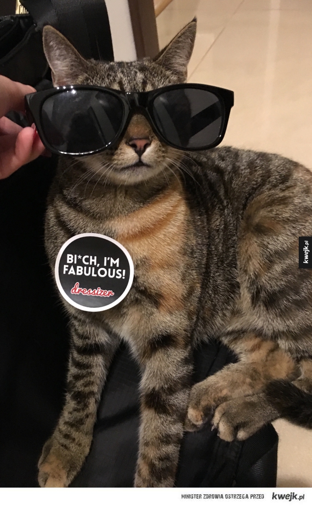 Fabulous!