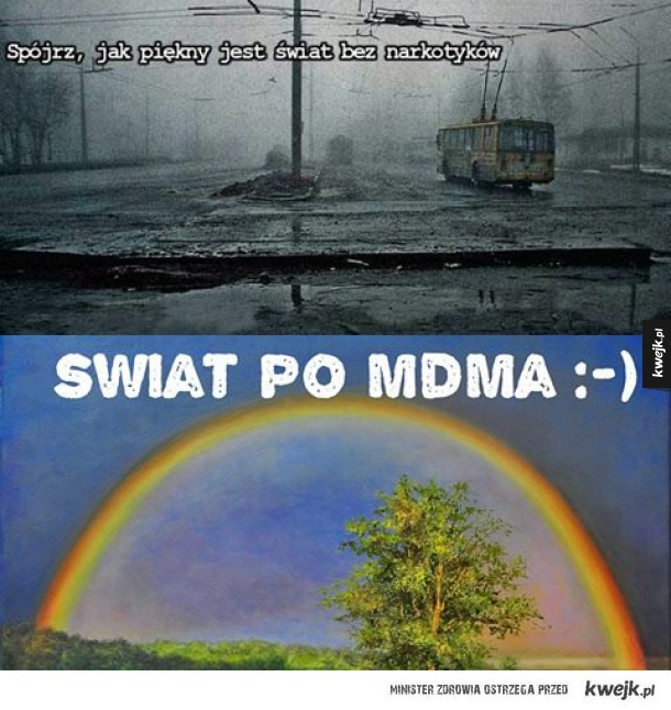 Świat po narkotykach