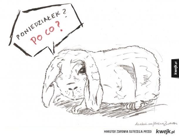 PONIEDZIAŁEK