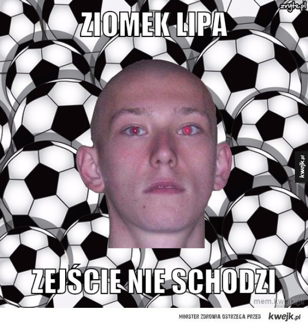 Ziomek lipa
