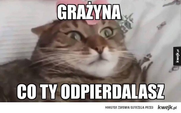No Grażyna