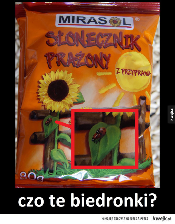 Czo te biedronki? :)