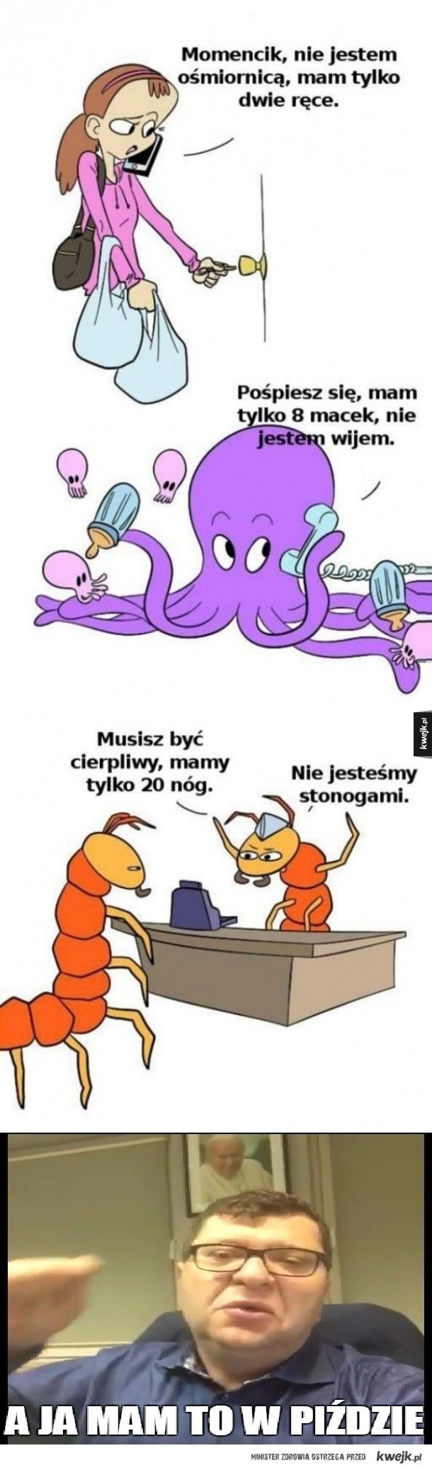 Stonoga