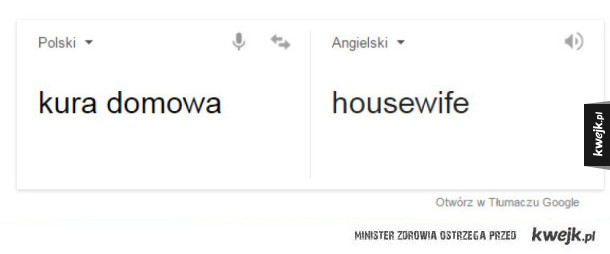 Kura domowa...