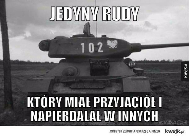 Jedyny rudy