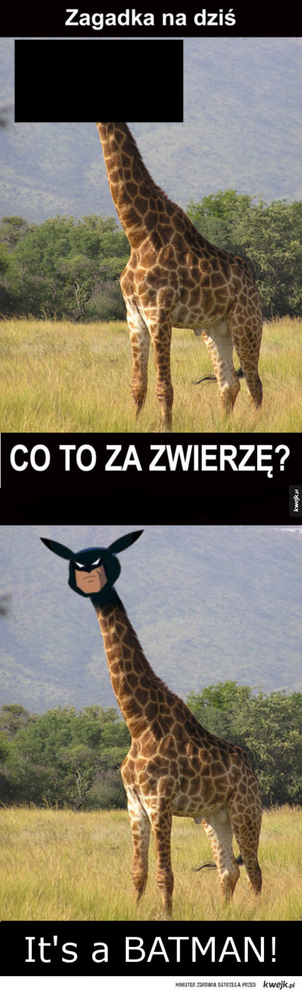 Podchwytliwa zagadka.