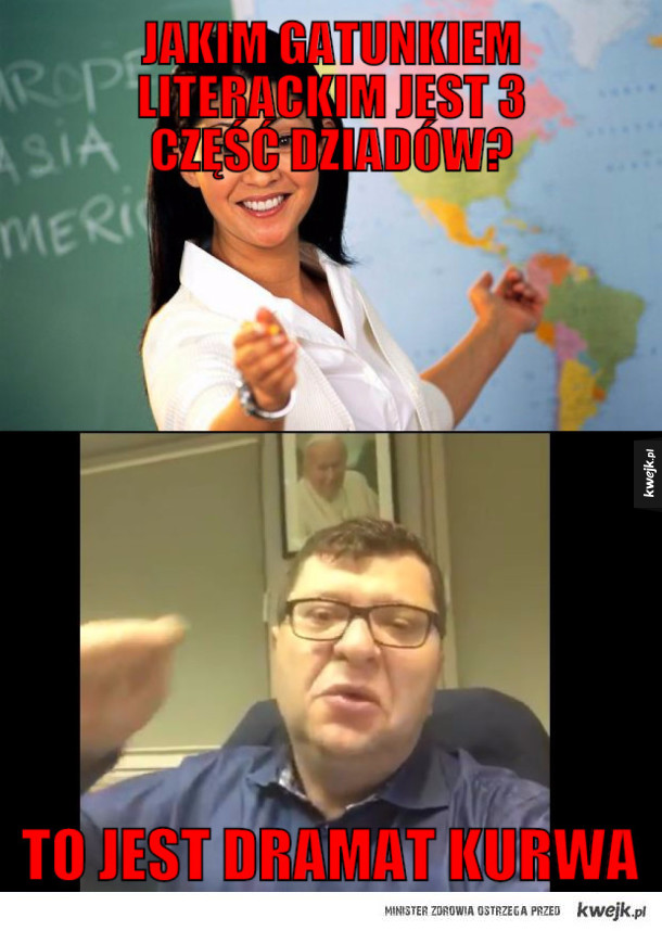 Stonoga