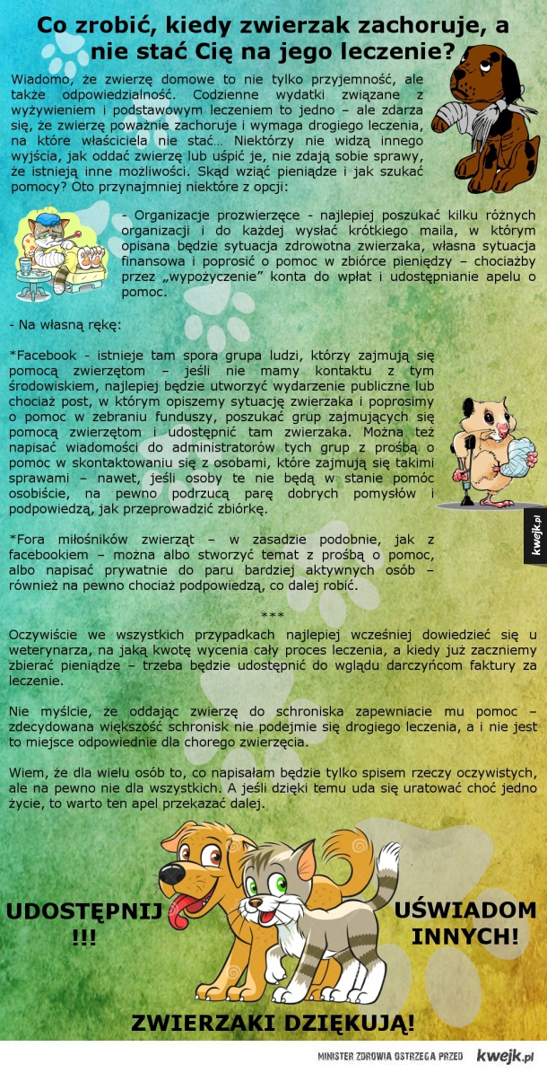 Pomoc w leczeniu zwierzaka