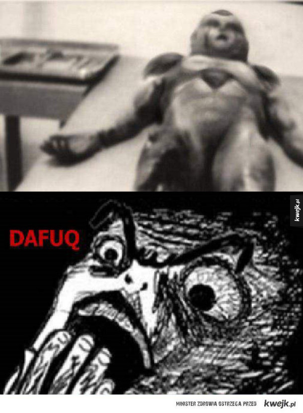 O.o