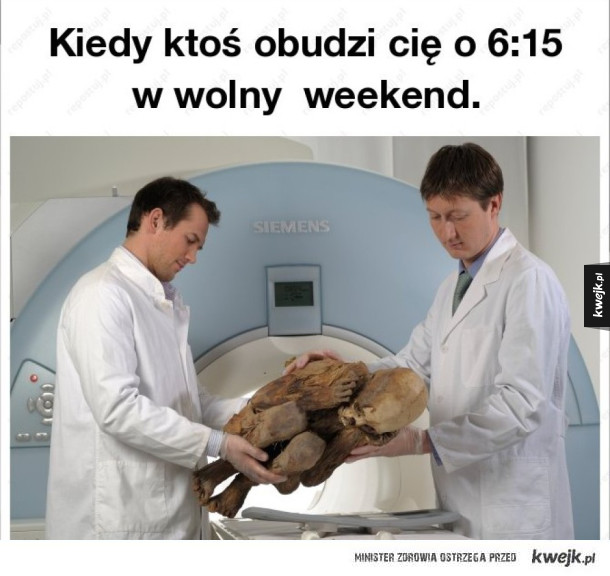 pobudka