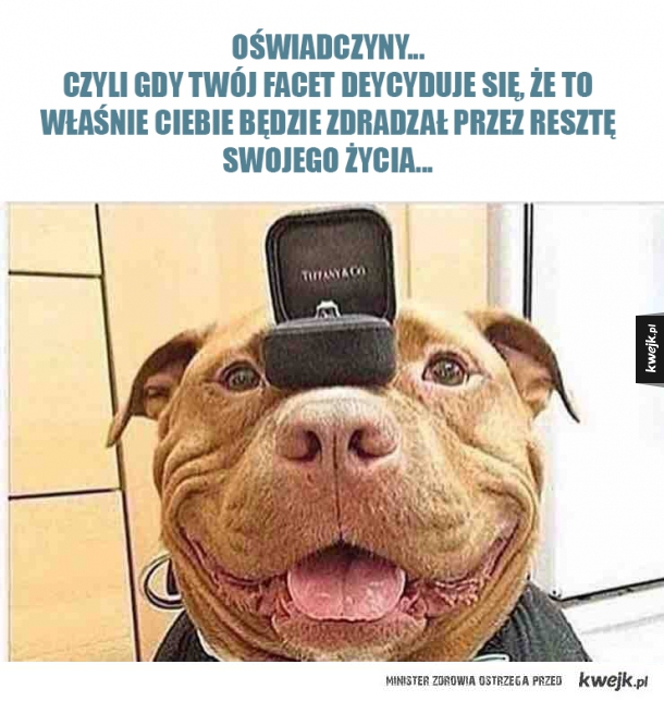 Miłość jest piękna 