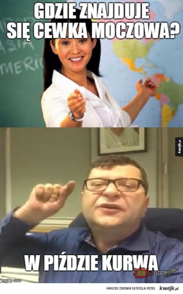 Stonoga !