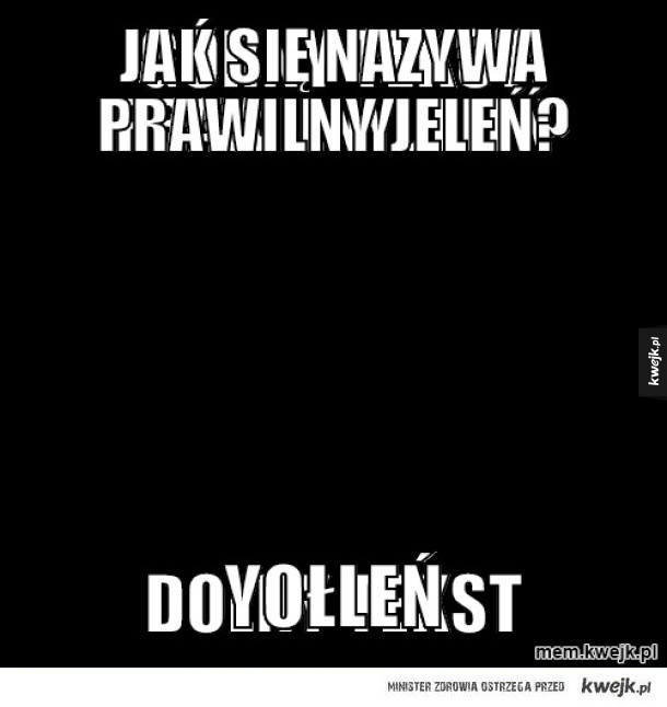 Jak się nazywa prawilny jeleń?