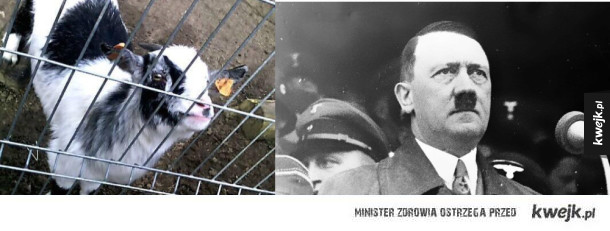 Cóż za podobieństwo.!
