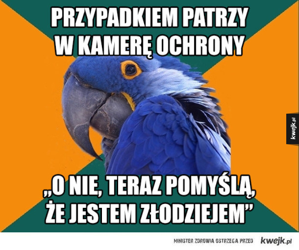 Paranoiczna Papuga