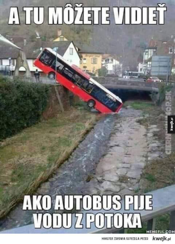 Biedna Autobusy